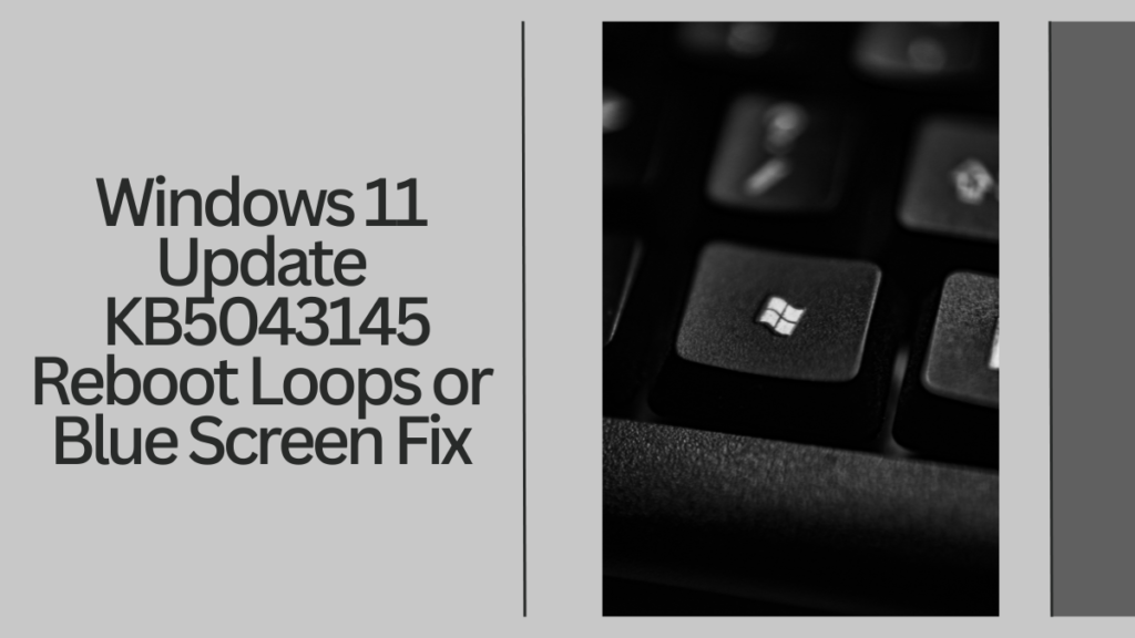 Windows 11 Update KB5043145 Reboot Loops or Blue Screen Fix